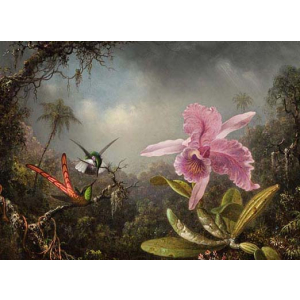 Orchidee mit zwei Vögelchen 1871 10